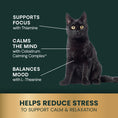Load image into Gallery viewer, VETRISCIENCE DOG & CAT CALM AND CONFIDENT LIQUID 8OZ