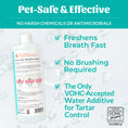 Load image into Gallery viewer, SKOUT'S HONOR DOG FRESHER BREATH WATER ADDITIVE 16OZ