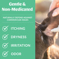 Load image into Gallery viewer, SKOUT'S HONOR DOG PROBIOTIC EAR CLEANER 4OZ