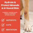 Load image into Gallery viewer, SKOUT'S HONOR DOG PROBIOTIC HOT SPOT HYDROGEL 4OZ