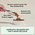 Load image into Gallery viewer, Pasture-Raised Lamb & Ancient Grains Dog Kibble