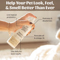 Load image into Gallery viewer, SKOUT'S HONOR DOG PROBIOTIC DEODORIZER DOG OF THE WOODS 8OZ