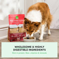Load image into Gallery viewer, Pasture-Raised Lamb & Ancient Grains Dog Kibble