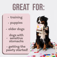 Load image into Gallery viewer, Polkadog - Cake Batter