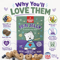 Load image into Gallery viewer, WONDER BARK Everydays PB N Jelly Biscuits 6oz