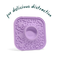 Load image into Gallery viewer, Purple treat container with text 'for delicious distraction' in Damascus Virginia