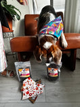 Load image into Gallery viewer, Air Dried Cow Liver Dog Treats 1.5oz