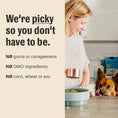 Load image into Gallery viewer, Honest Kitchen FPO Immunity Beef 5.5oz