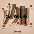 Load image into Gallery viewer, XL Red Deer Antler - Canophera