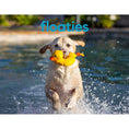Load image into Gallery viewer, FABDOG DOG FLOATIE DUCK