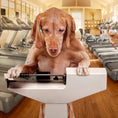 Load image into Gallery viewer, FROMM DOG GOLD GRAIN FREE COAST WEIGHT MANAGEMENT 12LBS