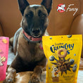 Load image into Gallery viewer, Dog sitting next to a bag of 'fromm Crunchy Os' blueberry blasts flavor dog treats with 'fromm' brand logo.
