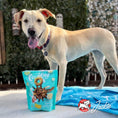 Load image into Gallery viewer, Dog standing next to a bag of Crunchy C's cereal with a blue blanket and outdoor background.