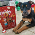 Load image into Gallery viewer, FROMM DOG CRUNCHY O'S POTROAST PUNCHER 6OZ
