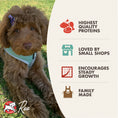 Load image into Gallery viewer, FROMM DOG HEARTLAND GOLD GRAIN FREE LARGE BREED PUPPY 26LBS