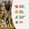 Load image into Gallery viewer, FROMM DOG GOLD LARGE BREED ADULT 30LBS