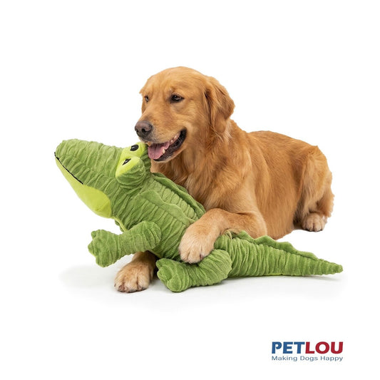 Petlou 22" Groovys Alligator