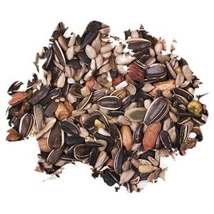 Wild Delight Nut N' Berry Block Bird Food 13-oz Block