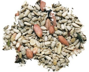 Wild Delight Deck Porch & Patio Block 14oz.