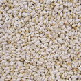 Load image into Gallery viewer, Cole's Safflower Seed - 10 lb Bag
