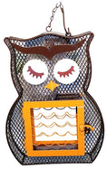Load image into Gallery viewer, Heath Owl Suet 'n Seed Dual Bird Feeder for Suet Cakes & Sunflower Seeds
