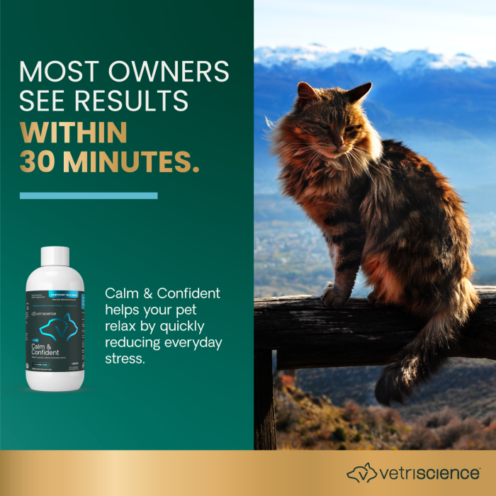 VETRISCIENCE DOG & CAT CALM AND CONFIDENT LIQUID 8OZ