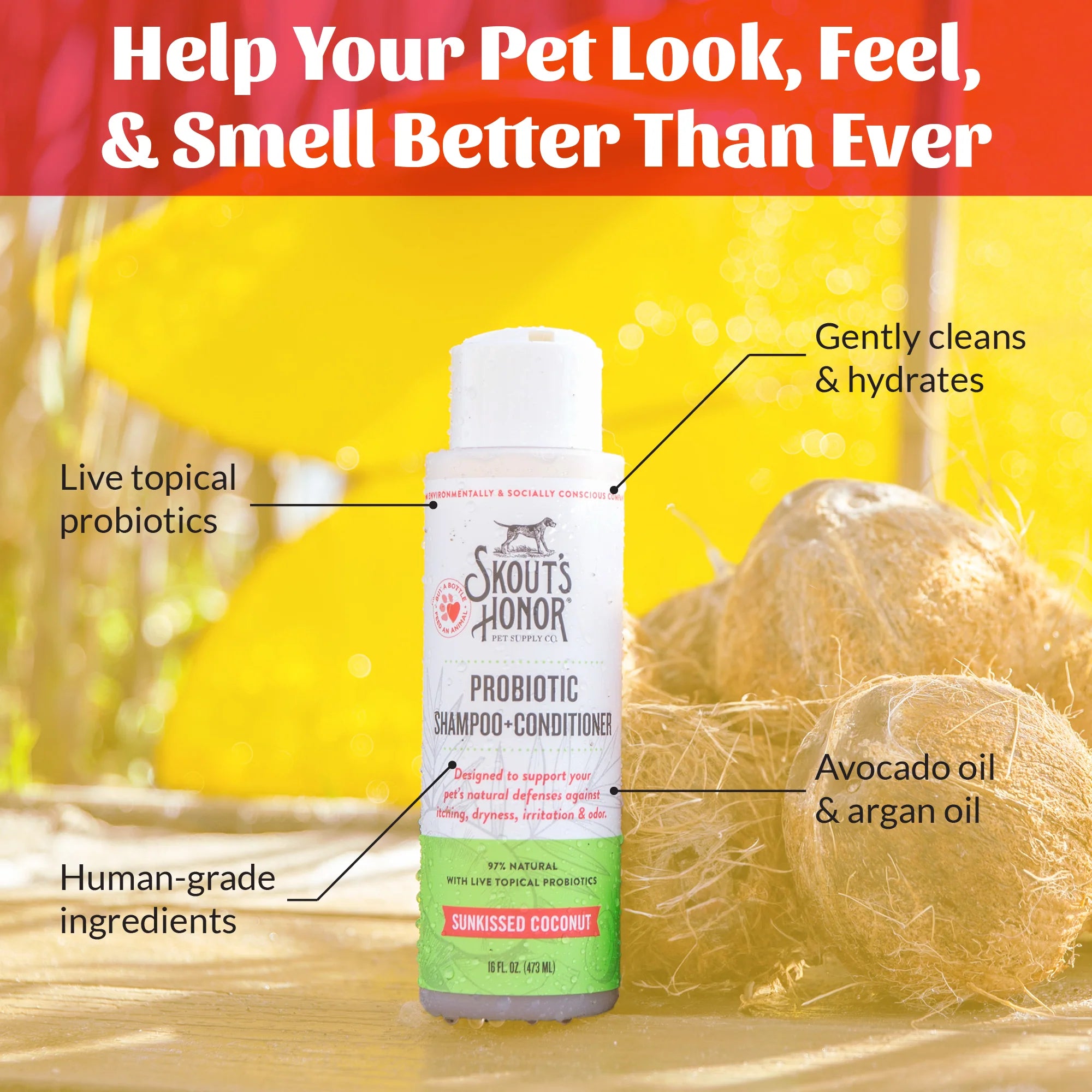 SKOUT'S HONOR DOG & CAT PROBIOTIC SHAMPOO + CONDITIONER SUNKISSED COCONUT 16OZ