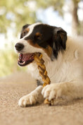Load image into Gallery viewer, Redbarn 7" Braided Bully Sticks

