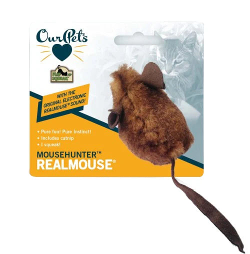Our Pet  Real Mouse