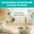 Load image into Gallery viewer, SKOUT'S HONOR DOG FRESHER BREATH WATER ADDITIVE 16OZ
