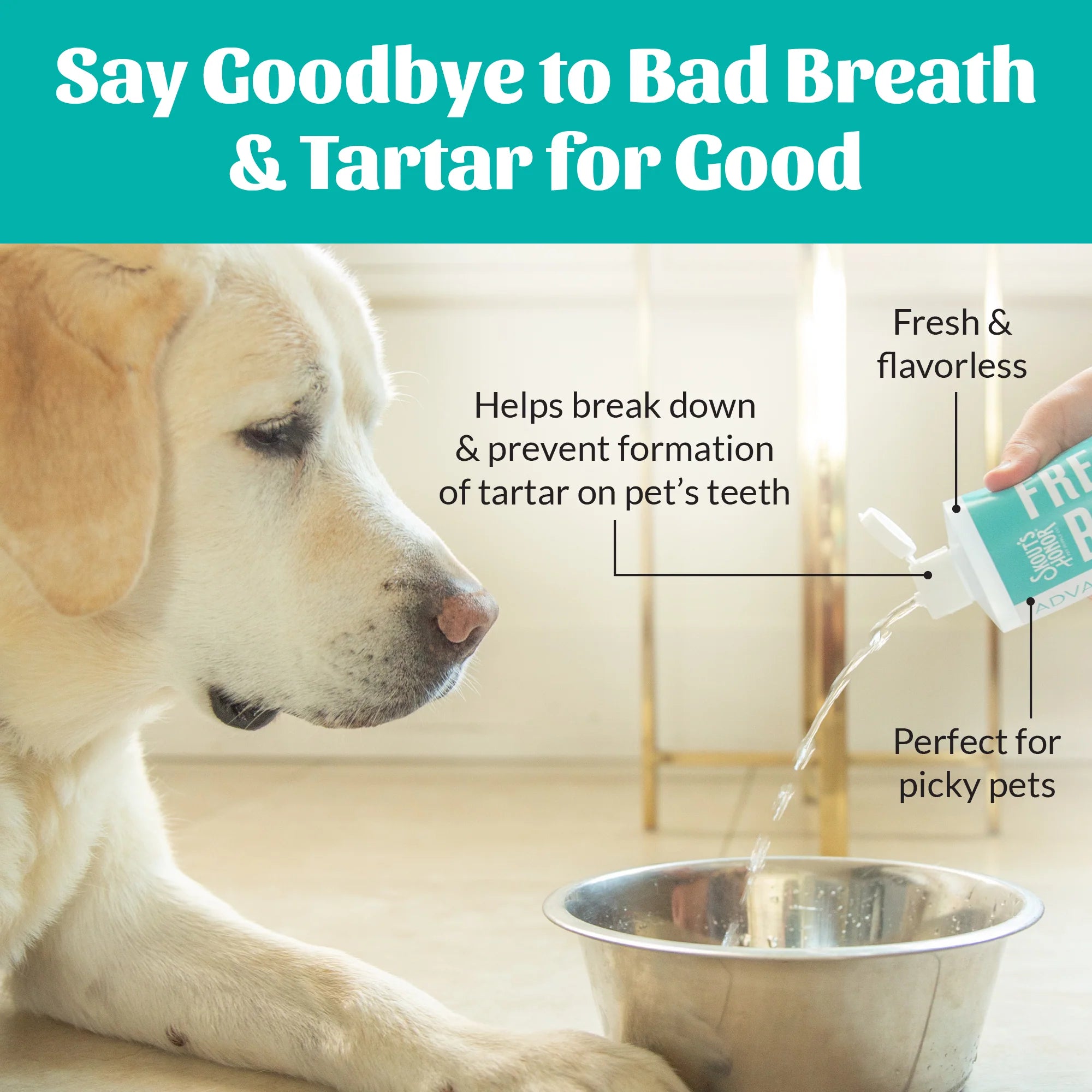 SKOUT'S HONOR DOG FRESHER BREATH WATER ADDITIVE 16OZ