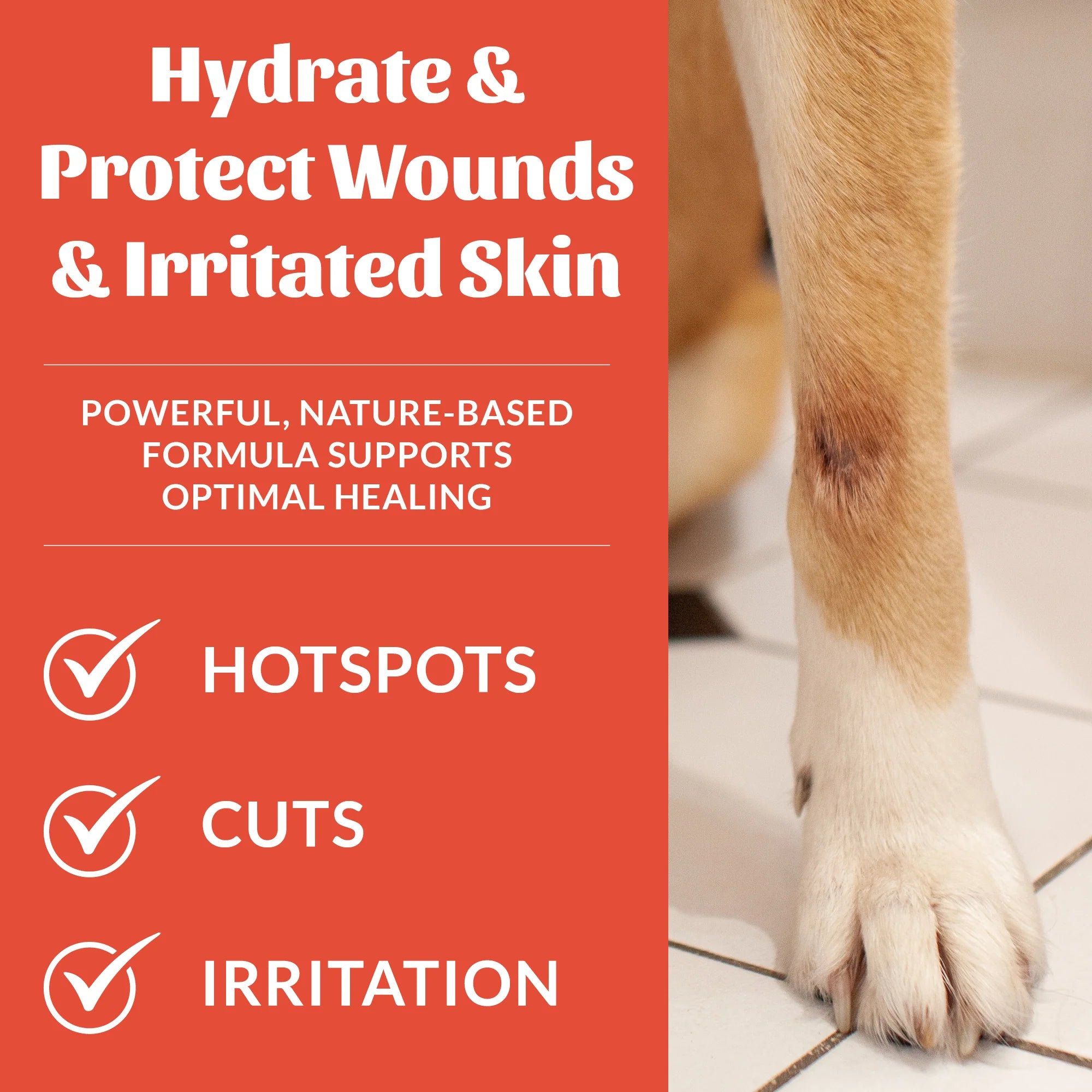 SKOUT'S HONOR DOG PROBIOTIC HOT SPOT HYDROGEL 4OZ