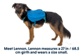 Load image into Gallery viewer, Ruffwear - Dog Overnight Pack Backpack
