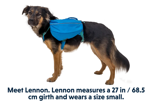 Ruffwear - Dog Overnight Pack Backpack