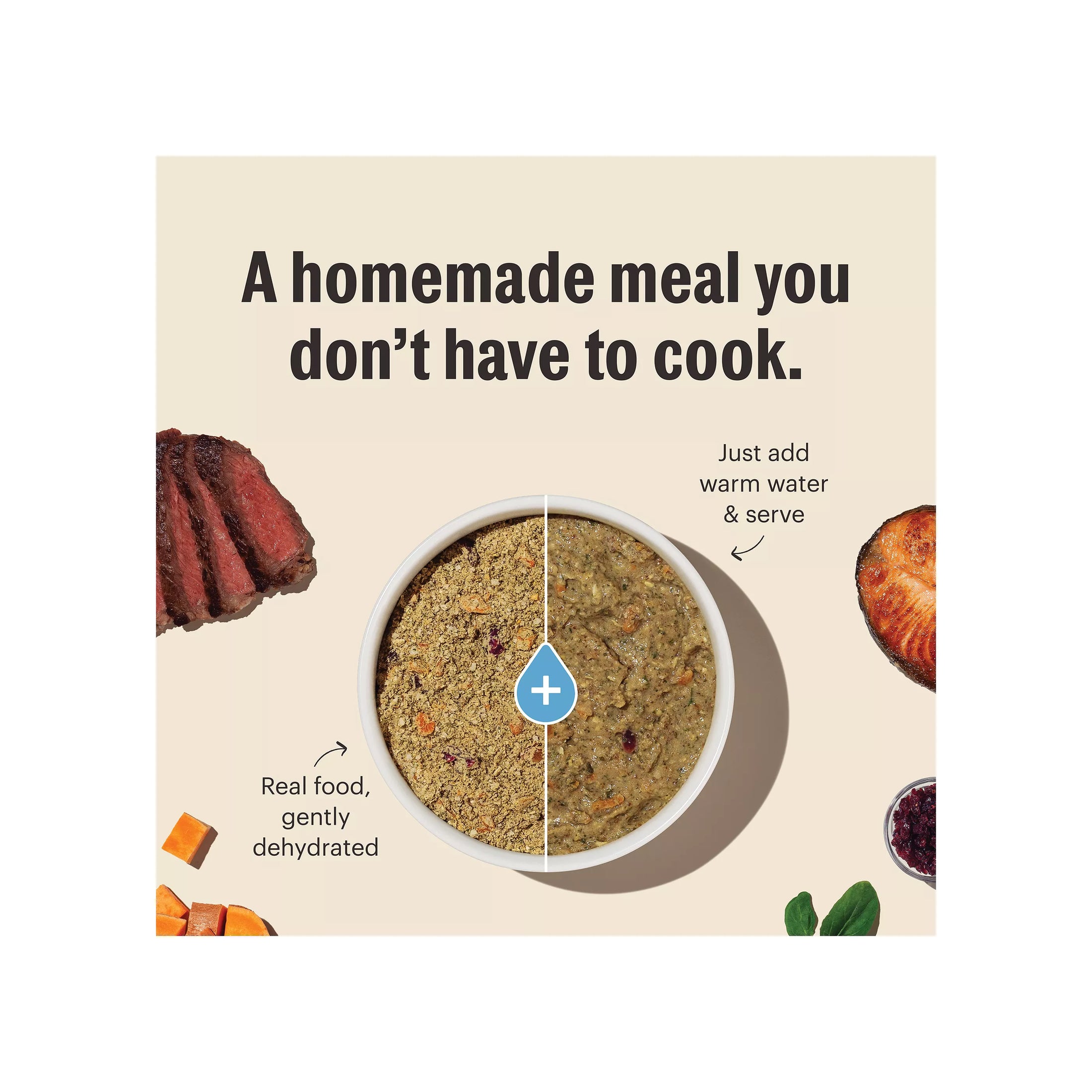 The Honest Kitchen - Beef Recipe