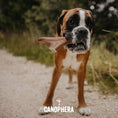 Load image into Gallery viewer, XL Red Deer Antler - Canophera
