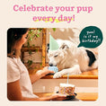 Load image into Gallery viewer, Pupsicle Small - Blue
