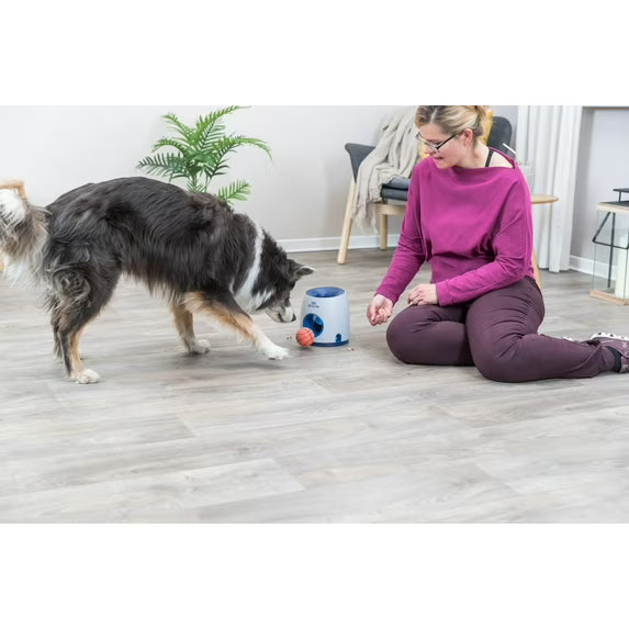 TRIXIE DOG ACTIVITY BALL & TREAT STRATEGY GAME