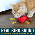 Load image into Gallery viewer, OUR PETS PLAY-N-SQUEAK Cat Real Birds Fly Over
