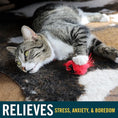 Load image into Gallery viewer, OUR PETS PLAY-N-SQUEAK Cat Real Birds Fly Over
