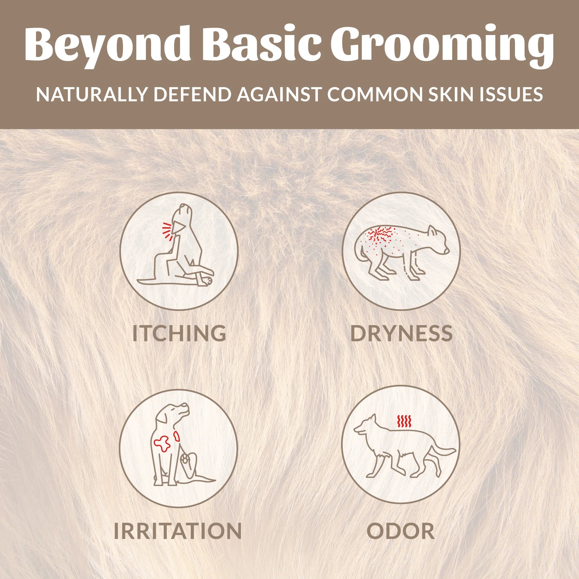 SKOUT'S HONOR DOG PROBIOTIC DEODORIZER DOG OF THE WOODS 8OZ