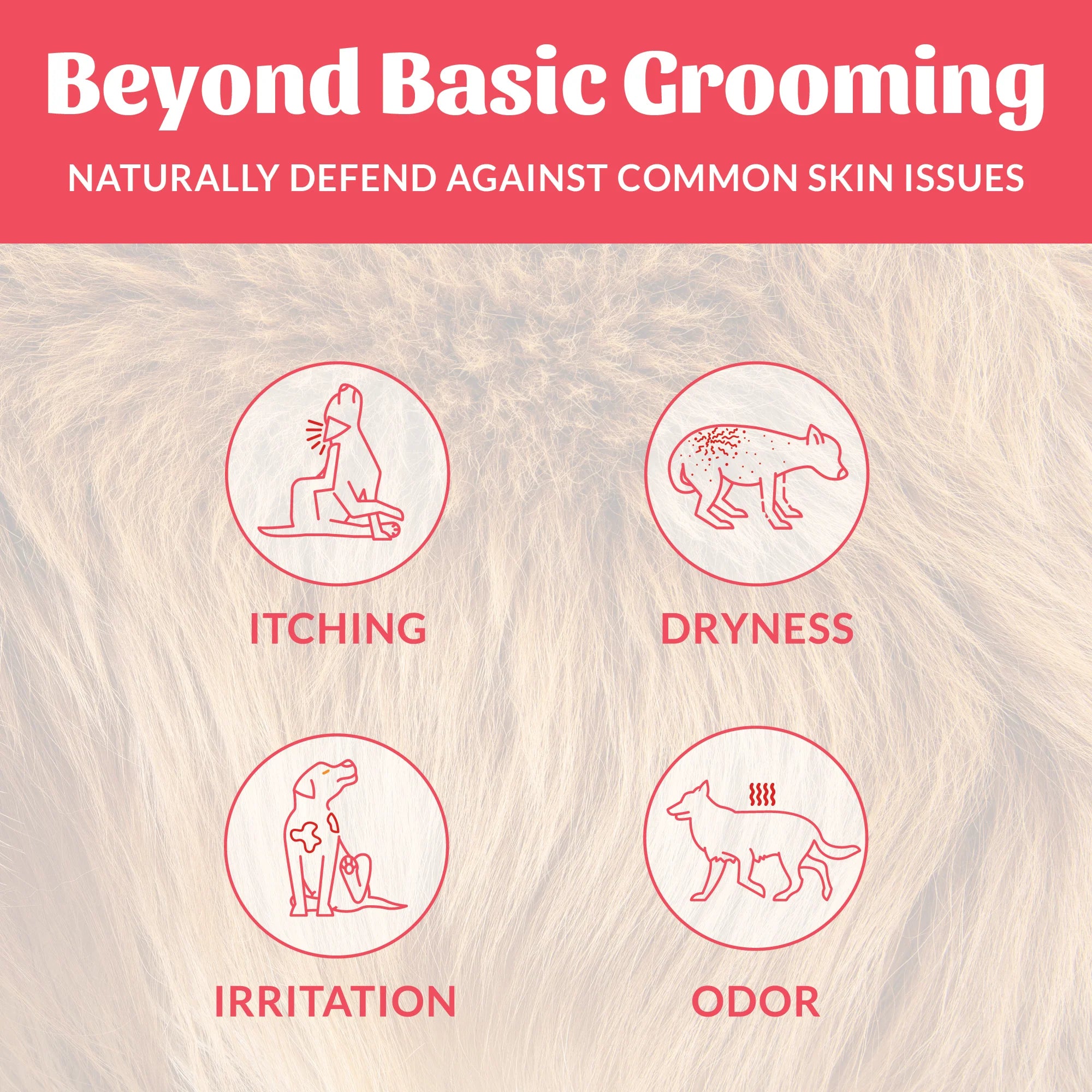 SKOUT'S HONOR DOG & CAT PROBIOTIC DEODORIZER SUNKISSED COCONUT 8OZ