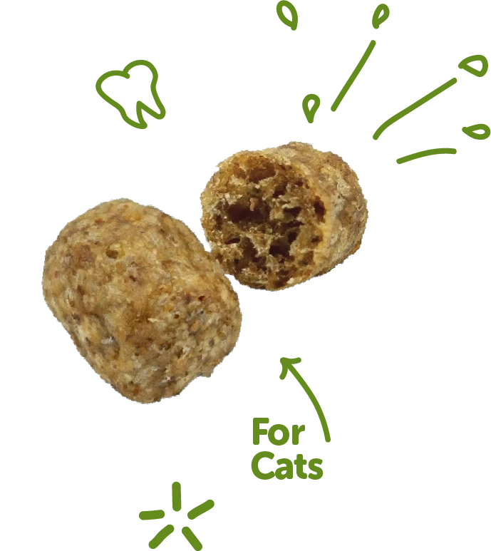 WELLNESS WHIMZEES CAT DENTAL TREAT CHICKEN TUNA 2OZ