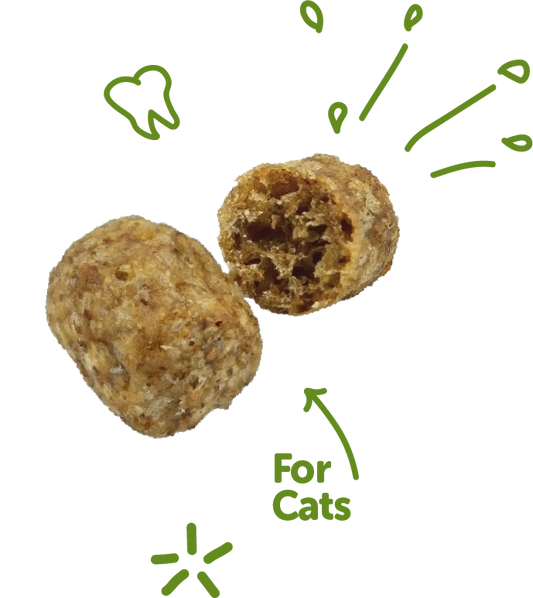 WELLNESS WHIMZEES CAT DENTAL TREAT CHICKEN TUNA 2OZ