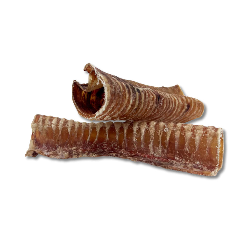 Trachea - Small (5-6 inches)