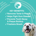 Load image into Gallery viewer, NOOTIE DOG DERMATOLOGY SOLUTIONS ANTIMICROBIAL DENTAL PAD - 60 COUNT

