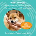 Load image into Gallery viewer, NOOTIE DOG DERMATOLOGY SOLUTIONS ANTIMICROBIAL DENTAL PAD - 60 COUNT
