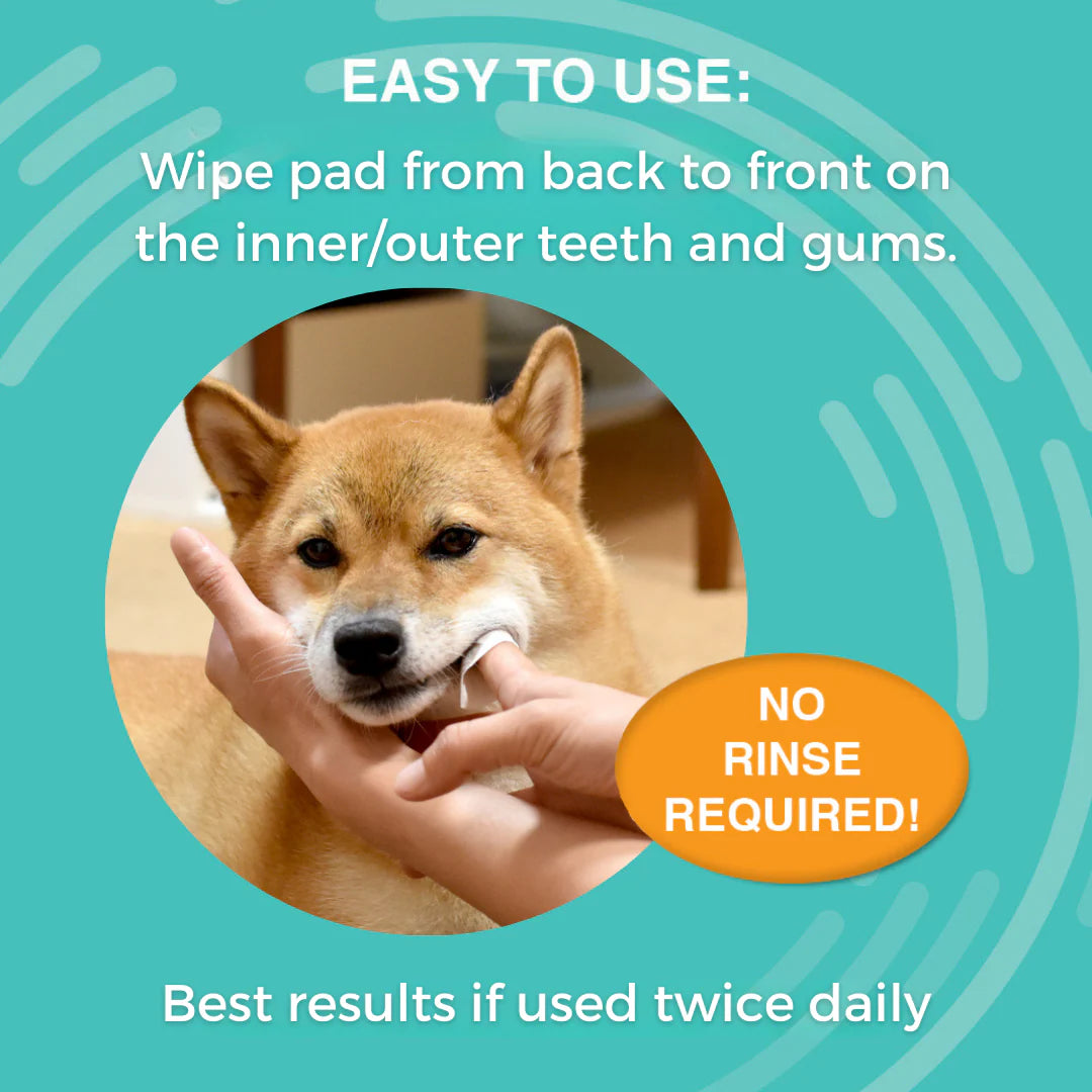 NOOTIE DOG DERMATOLOGY SOLUTIONS ANTIMICROBIAL DENTAL PAD - 60 COUNT