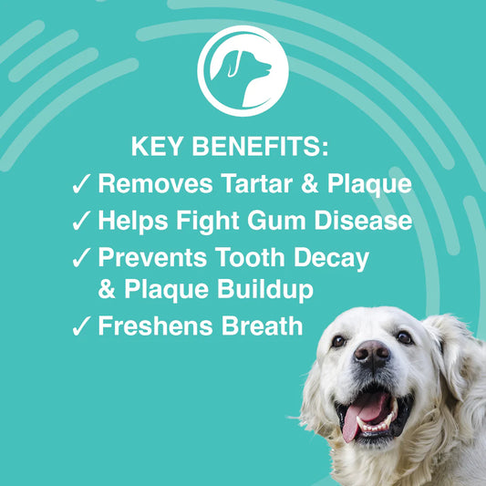 NOOTIE DOG DERMATOLOGY SOLUTIONS ANTIMICROBIAL DENTAL GEL 4OZ
