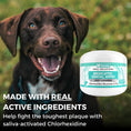Load image into Gallery viewer, NOOTIE DOG DERMATOLOGY SOLUTIONS ANTIMICROBIAL DENTAL PAD - 60 COUNT
